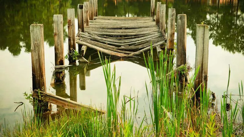 Tín Ngưỡng Dân Gian và Điềm Báo: Từ Đông Sang Tây