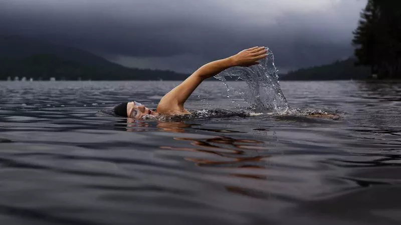 Giải Mã Chi Tiết Giấc Mơ Thấy Ba Ba Và Những Con Số May Mắn Đi Kèm