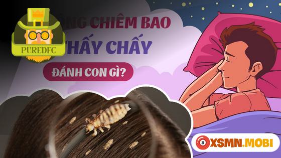 Giải Mã Thêm Các Giấc Mơ Thấy Chấy Liên Quan Đến Lô Đề: