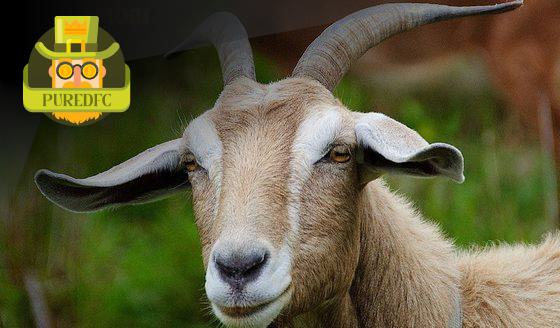 Giải Mã Giấc Mơ Thấy Mực: Hướng Đến Cuộc Sống Tốt Đẹp Hơn