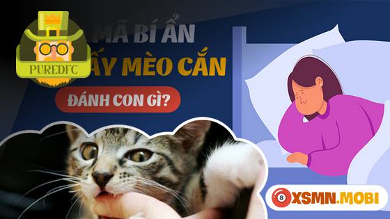Giải Mã Giấc Mơ Thấy Mèo Cắn: Thông Điệp Từ Tiềm Thức